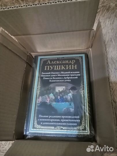 Книга Пушкин сзкэо