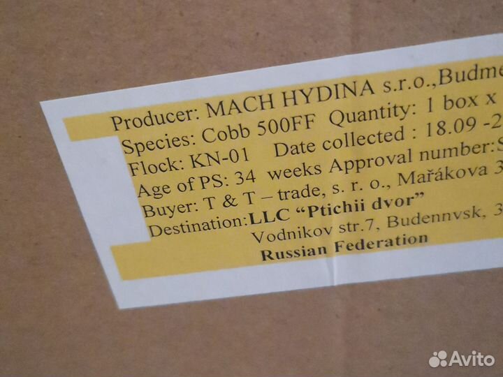 Инкубационное яйцо бройлера кобб 500 Словакия