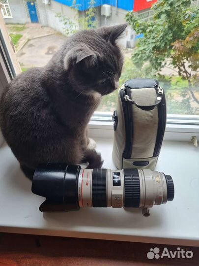 Canon 70-200 2.8L is USM