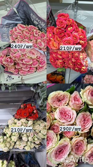 Кустовые пионовидные розы букет