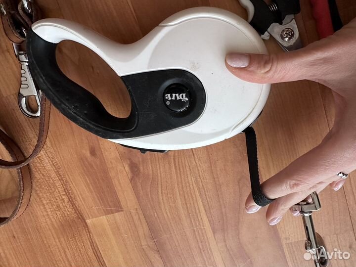 Шлейка для собак, поводок рулетка лента 5м