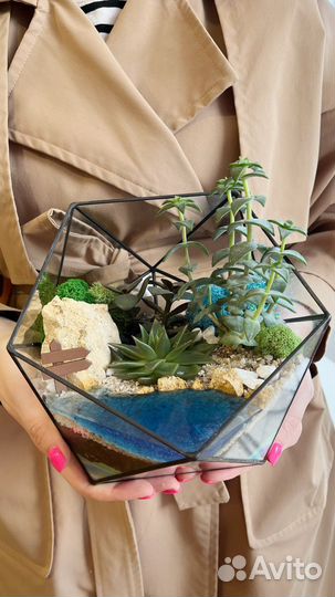 Флорариум подарок