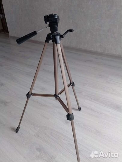 Штатив