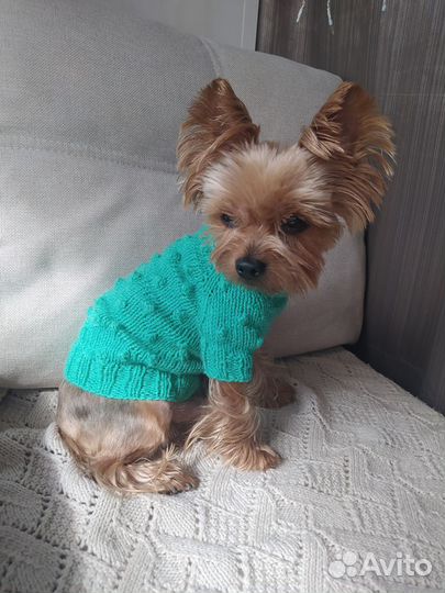 Новый вязаный свитер для собаки. Ручная работа