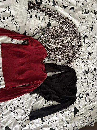 Женская одежда