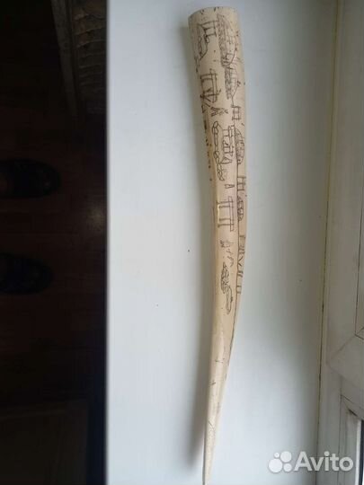 Клык Моржа (Имитация)