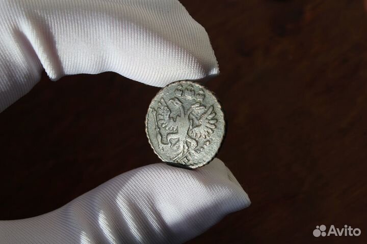 Полушка 1731 рельеф Анна Иоанновна Москва в Твери