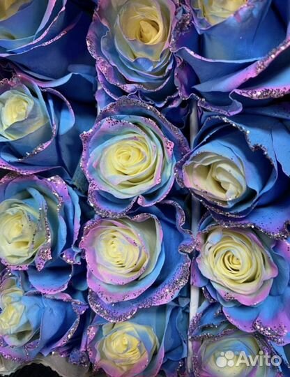 Крашеные радужные синие розы