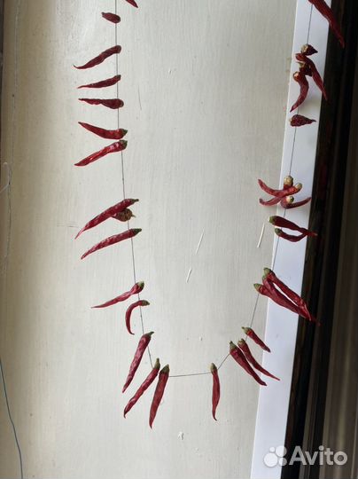 Перец острый