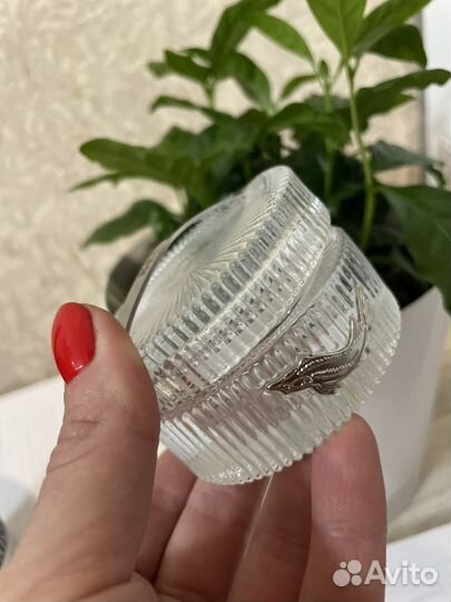 Икорница beluga