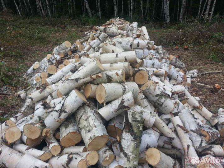 Дрова березовые колотые