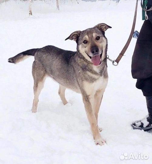 Дени - супергерой