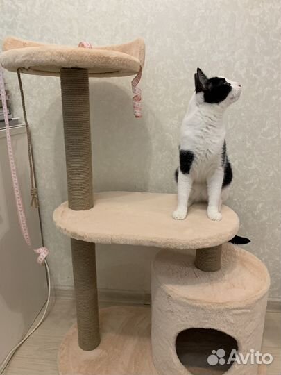 Игровой домик для кошек