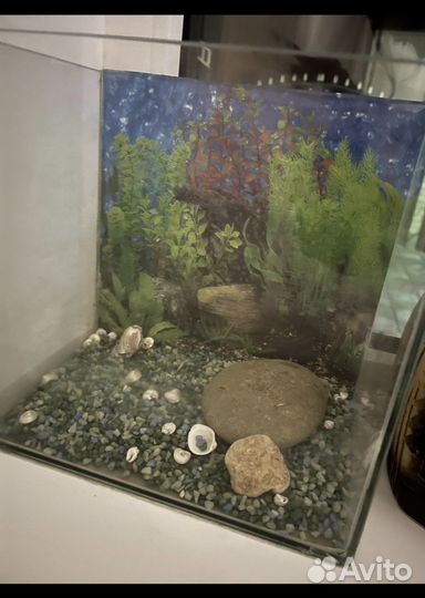 Аквариум