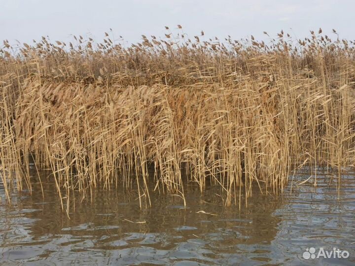 Натуральная маскировочная сеть для охоты