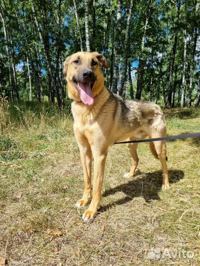 Лео ищет свою маму