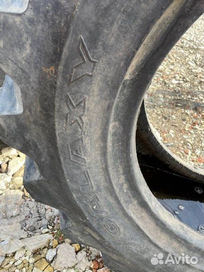 Галакси 15.5-25 Жираф