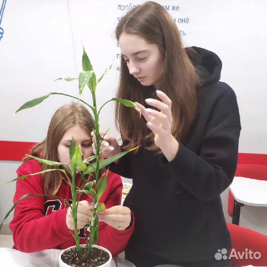 Репетитор по биологии ЕГЭ