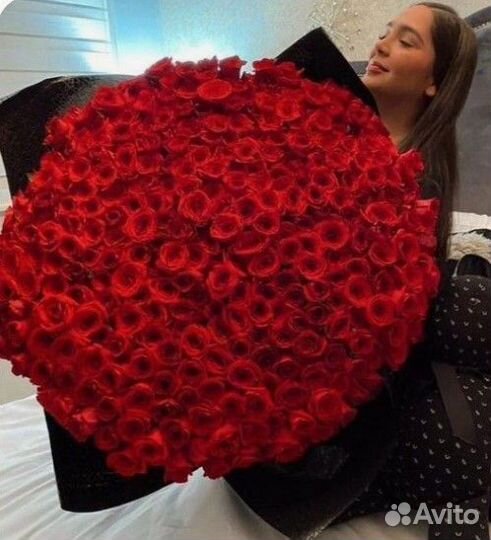 Розы 101 штука цветы доставка