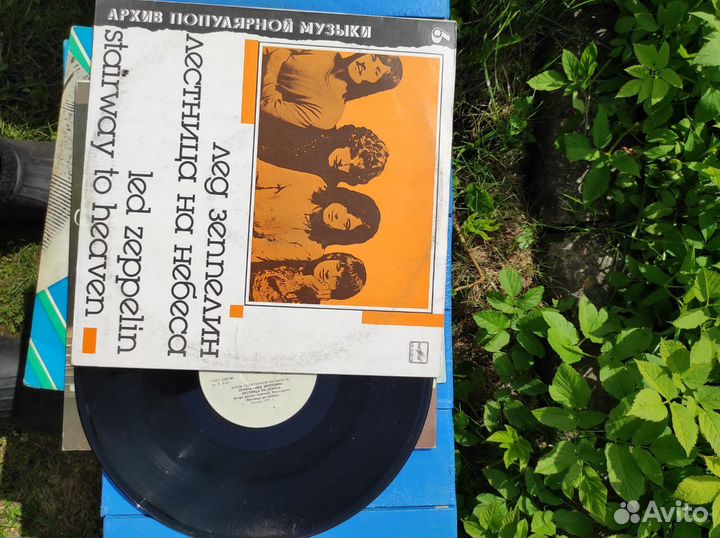 Виниловые пластинки