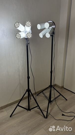 Raylab видеосвет