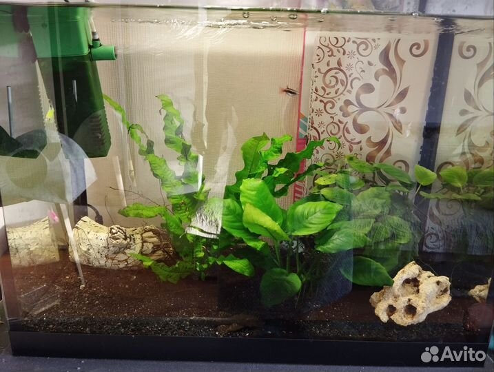 Аквариум 60 литров