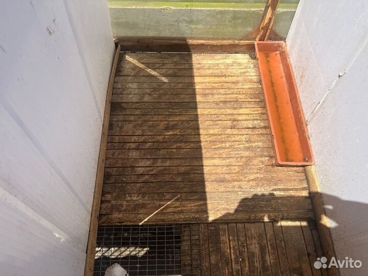 Клетки для кролика