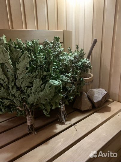 Дубовые веники для бани