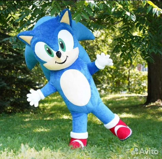 Аниматор Соник ростовой