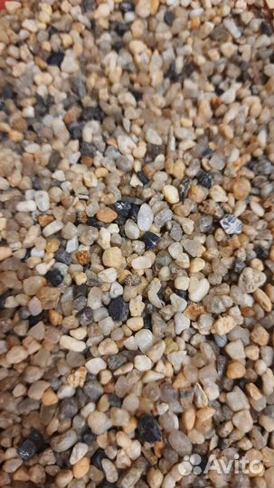 Коряги,грунт