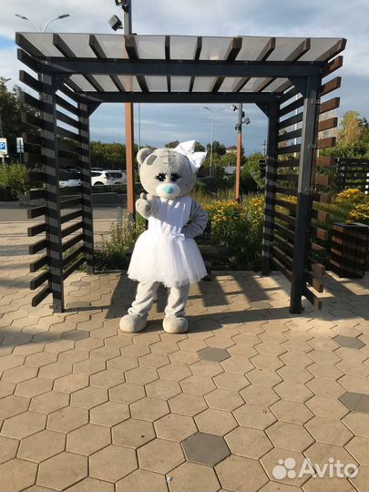 Мишка тедди самара