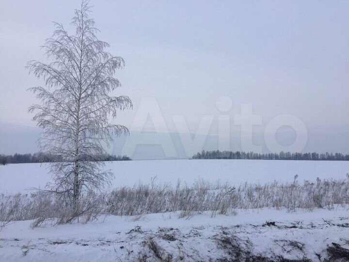 Участок 211,14 га (СНТ, ДНП)