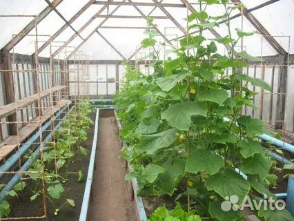 Плодородный грунт с доставкой