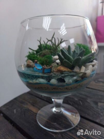 Флорариум суккуленты, кактусы. Подарок