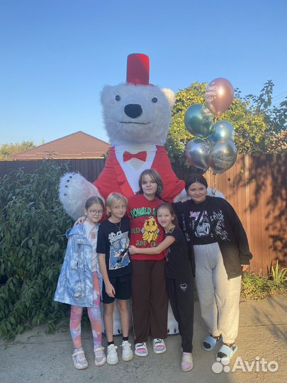 Белый мишка поздравление аниматор