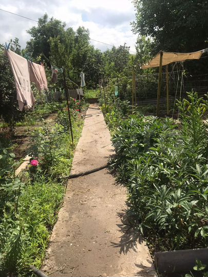 Дача 36 м² на участке 6 сот.