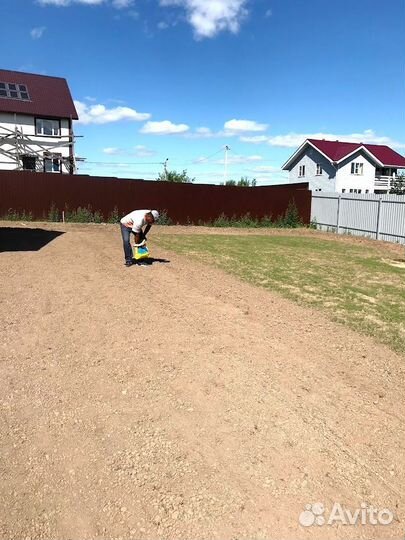 Посевной газон, посев газона