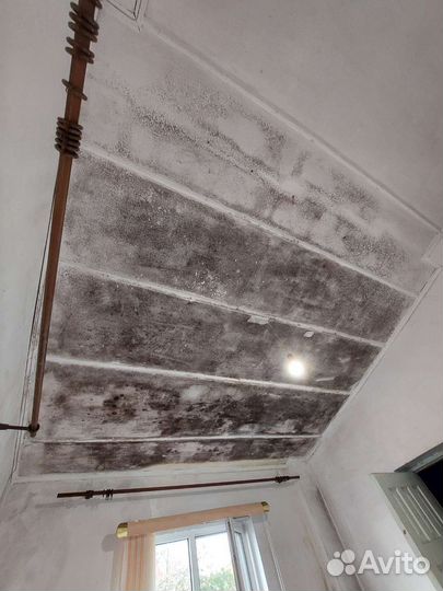 Уничтожение тараканов клещей ос