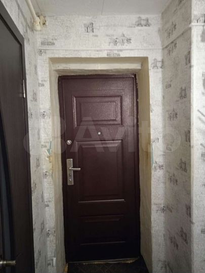 1-к. квартира, 31 м², 1/2 эт.