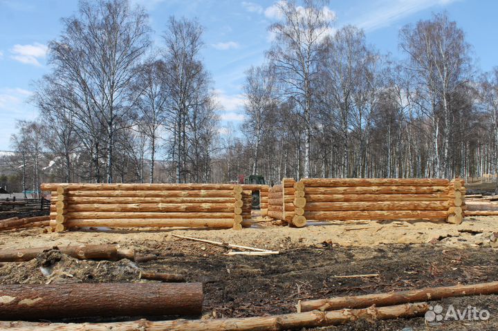 Срубы для бани и дома из сосны Башкирский лес