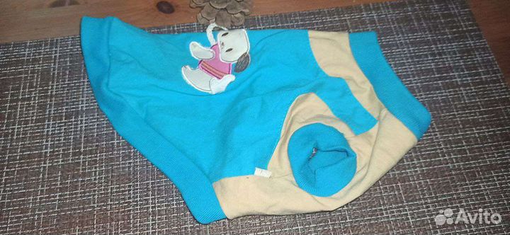 Костюм для маленькой собачки