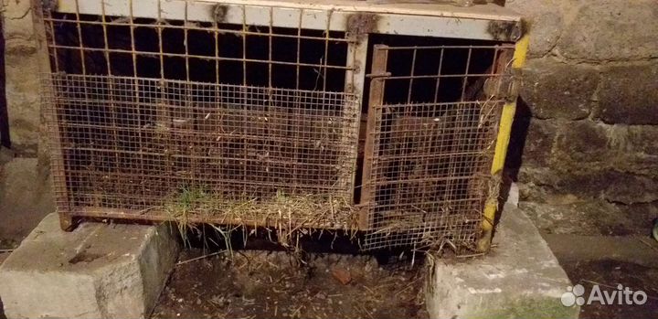 Клетка для кроликов