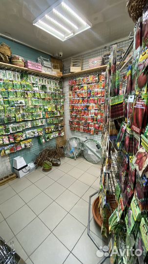 Семена томатов, огурцов, цветов, перцев