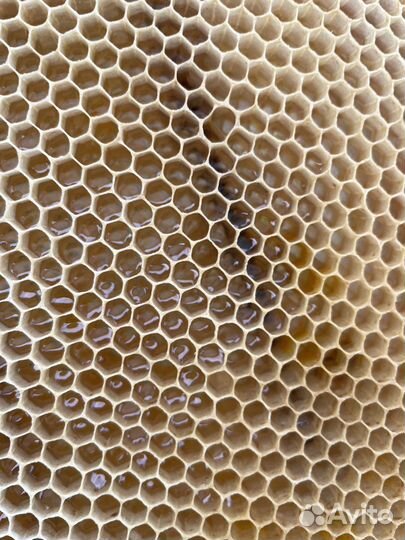 Мёд натуральный, 2023 года В наличии