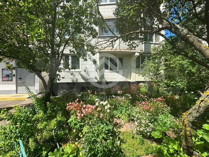 1-к. квартира, 37,3 м², 1/17 эт.