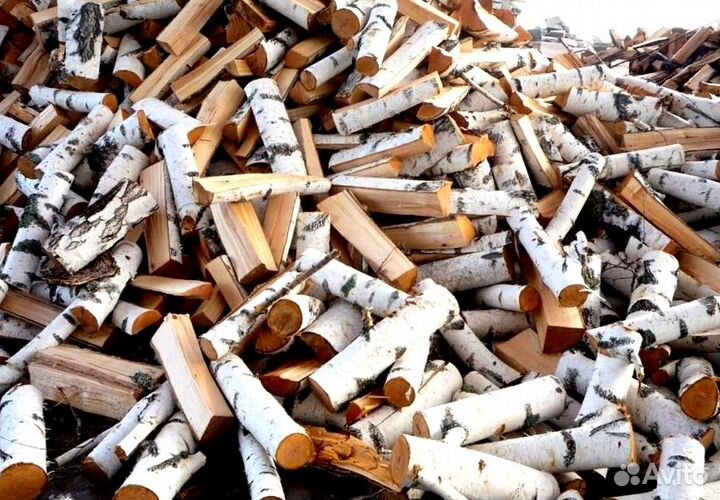 Дрова Береза