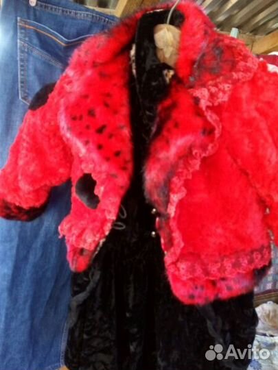 Божья коровка