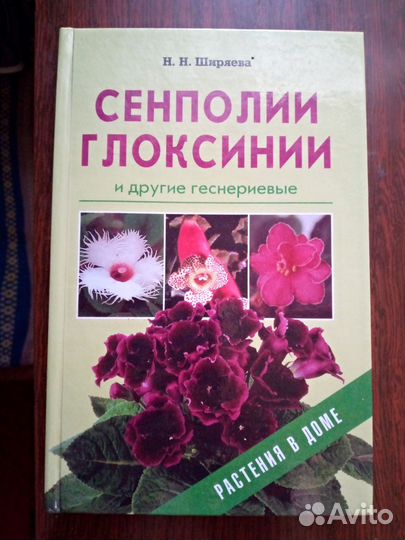 Про фиалки и другие