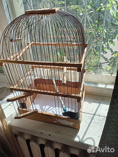 Клетка для попугая бу