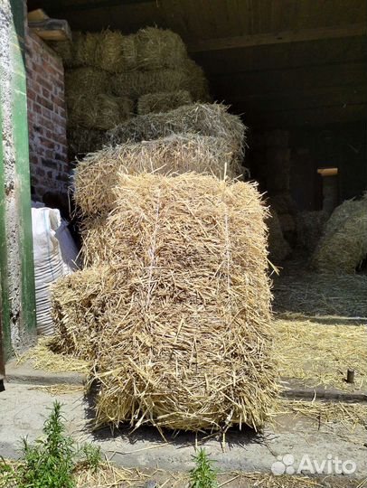 Продам солому, сено
